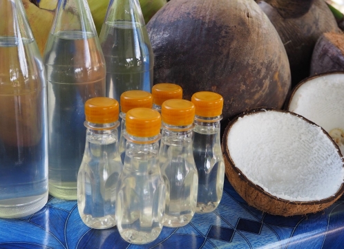 ココナッツオイル作り体験